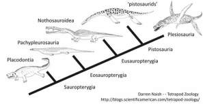 cartoon-cladogram-sauropterygians-slide-Darren-Naish-Tetrapod-Zoology-600-px-Oxct-2012-tiny